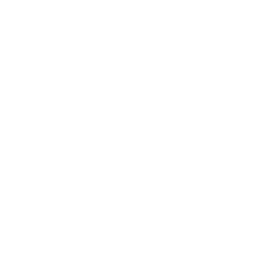 SkyExchange mobile betting browser access